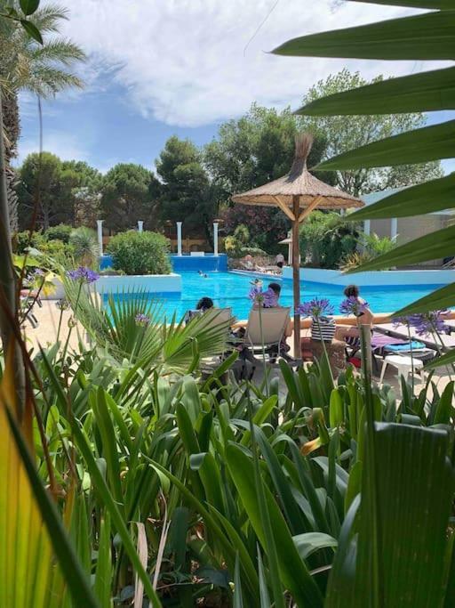 Appartement Cosy Confort Parking Clim Wifi Linge Acces Piscine Non Inclus Canet-en-Roussillon Dış mekan fotoğraf