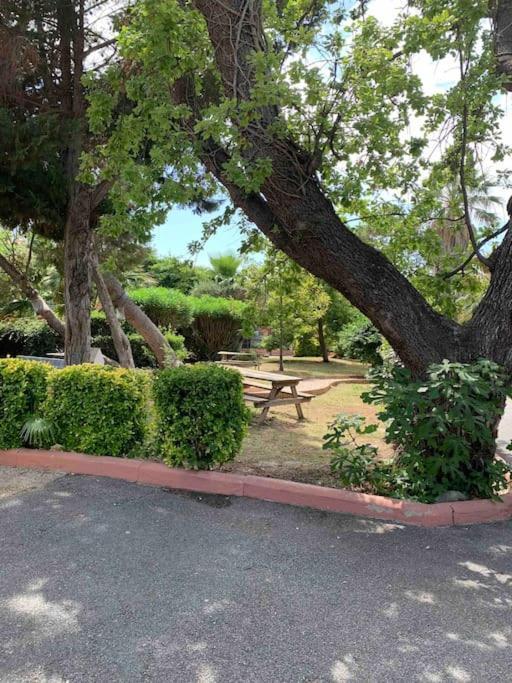 Appartement Cosy Confort Parking Clim Wifi Linge Acces Piscine Non Inclus Canet-en-Roussillon Dış mekan fotoğraf