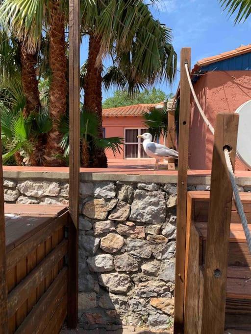 Appartement Cosy Confort Parking Clim Wifi Linge Acces Piscine Non Inclus Canet-en-Roussillon Dış mekan fotoğraf