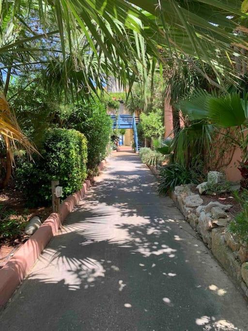 Appartement Cosy Confort Parking Clim Wifi Linge Acces Piscine Non Inclus Canet-en-Roussillon Dış mekan fotoğraf