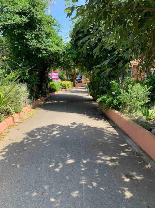 Appartement Cosy Confort Parking Clim Wifi Linge Acces Piscine Non Inclus Canet-en-Roussillon Dış mekan fotoğraf