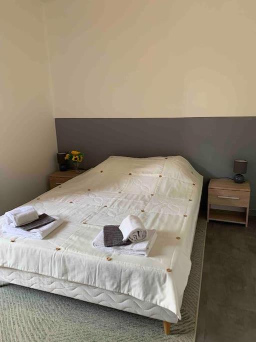Appartement Cosy Confort Parking Clim Wifi Linge Acces Piscine Non Inclus Canet-en-Roussillon Dış mekan fotoğraf