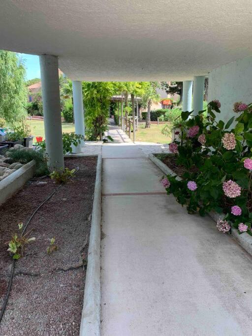 Appartement Cosy Confort Parking Clim Wifi Linge Acces Piscine Non Inclus Canet-en-Roussillon Dış mekan fotoğraf